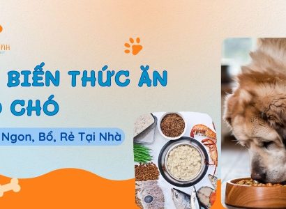 CHẾ BIẾN THỨC ĂN CHO CHÓ