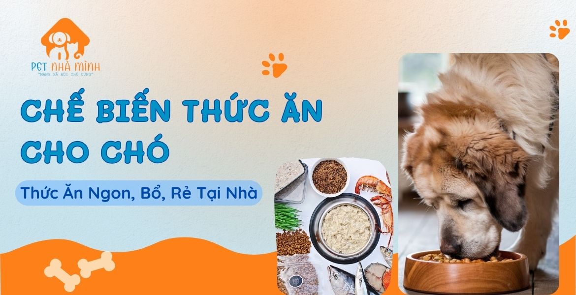 CHẾ BIẾN THỨC ĂN CHO CHÓ