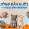 Cách nuôi mèo