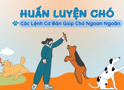 Huấn luyện chó