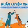 Huấn luyện chó