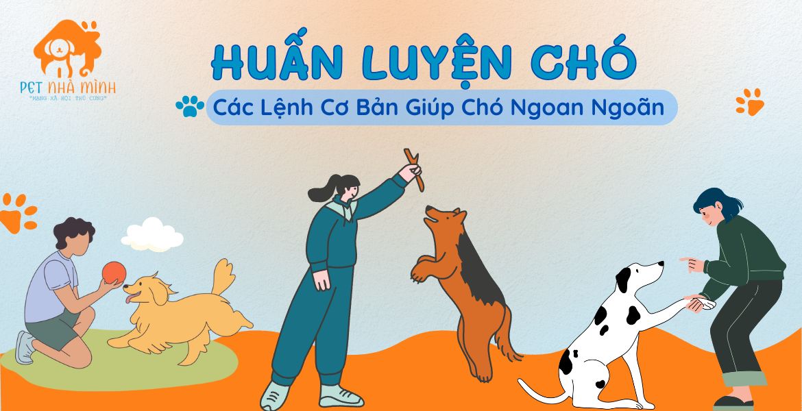 Huấn luyện chó