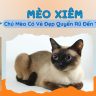 MÈO XIÊM