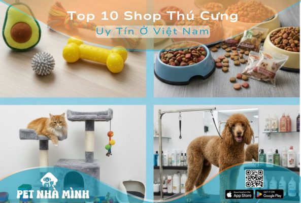 Shop Thú Cưng