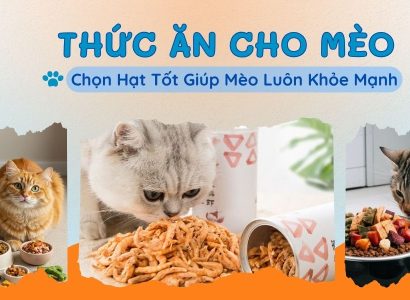 Thức ăn cho mèo