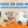 Thức ăn cho mèo