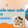 THỰC PHẨM NGUY HIỂM CHO CHÓ