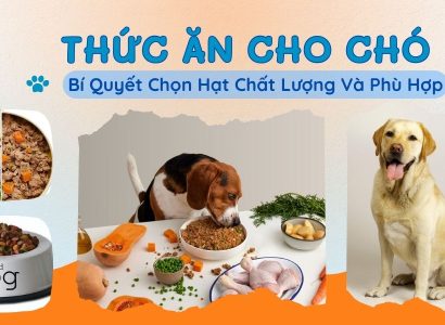 Thức Ăn Cho Chó