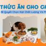 Thức Ăn Cho Chó