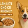 Thức Ăn Ướt Cho Chó