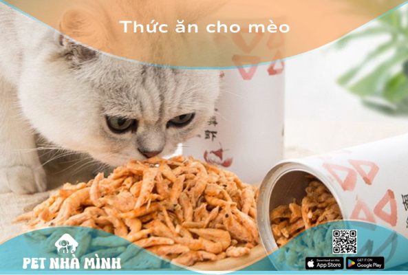 Thức ăn cho mèo