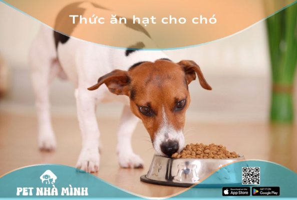 Thức ăn hạt cho chó