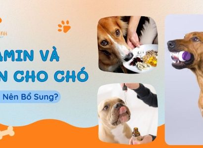 VITAMIN VÀ TPCN CHO CHÓ