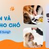 VITAMIN VÀ TPCN CHO CHÓ