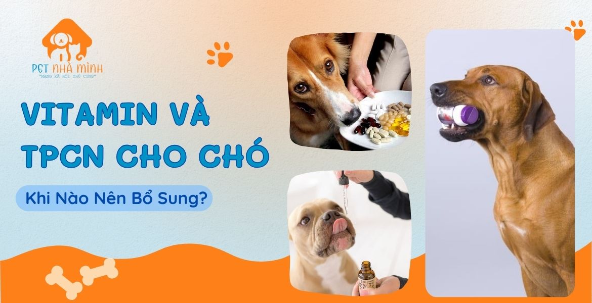 VITAMIN VÀ TPCN CHO CHÓ