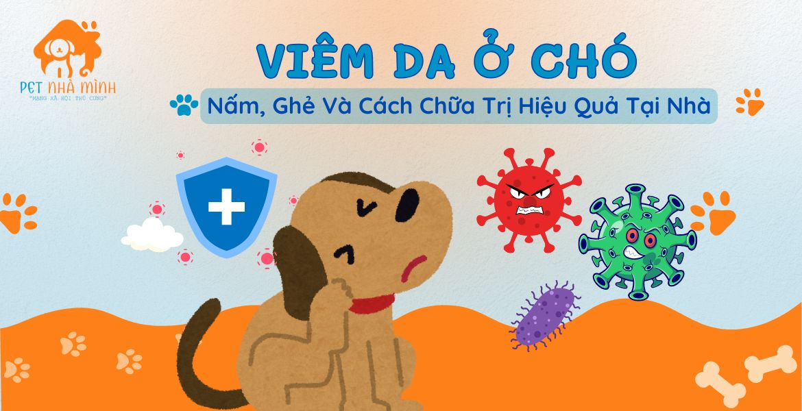 Viêm da ở chó
