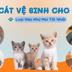 CÁT VỆ SINH CHO MÈO