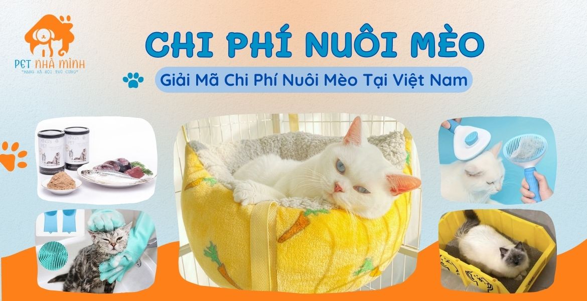 CHI PHÍ NUÔI MÈO