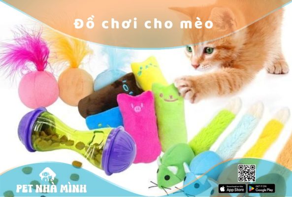 Đồ chơi cho mèo