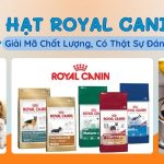 HẠT ROYAL CANIN