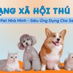 MẠNG XÃ HỘI THÚ CƯNG