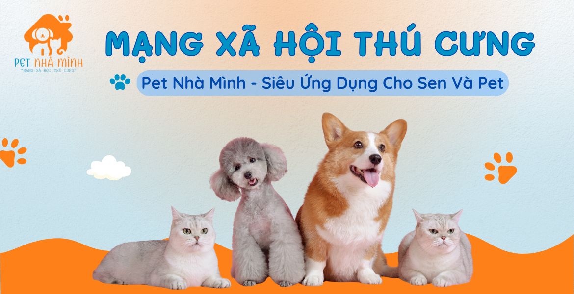 MẠNG XÃ HỘI THÚ CƯNG