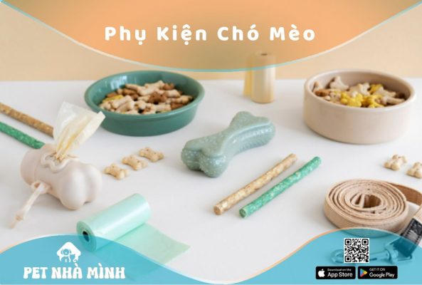 Phụ Kiện Chó Mèo