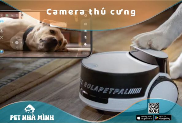 Camera thú cưng