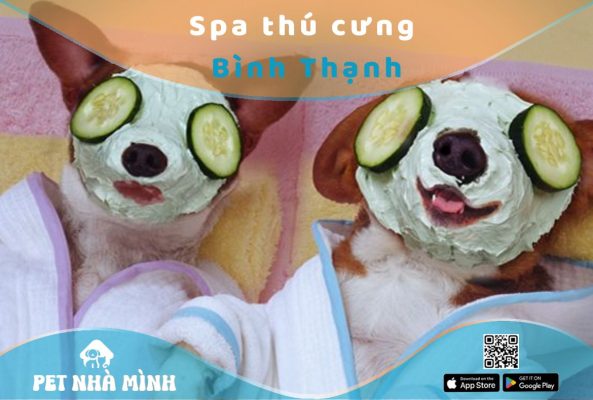 Spa thú cưng Bình Thạnh
